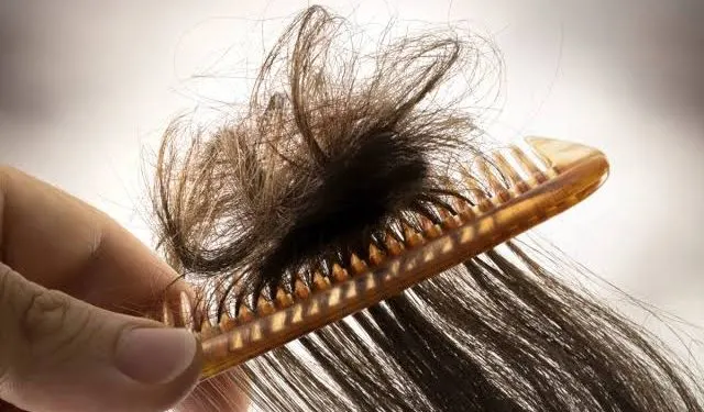 rambut menggumpal