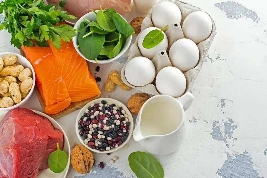nutrisi8