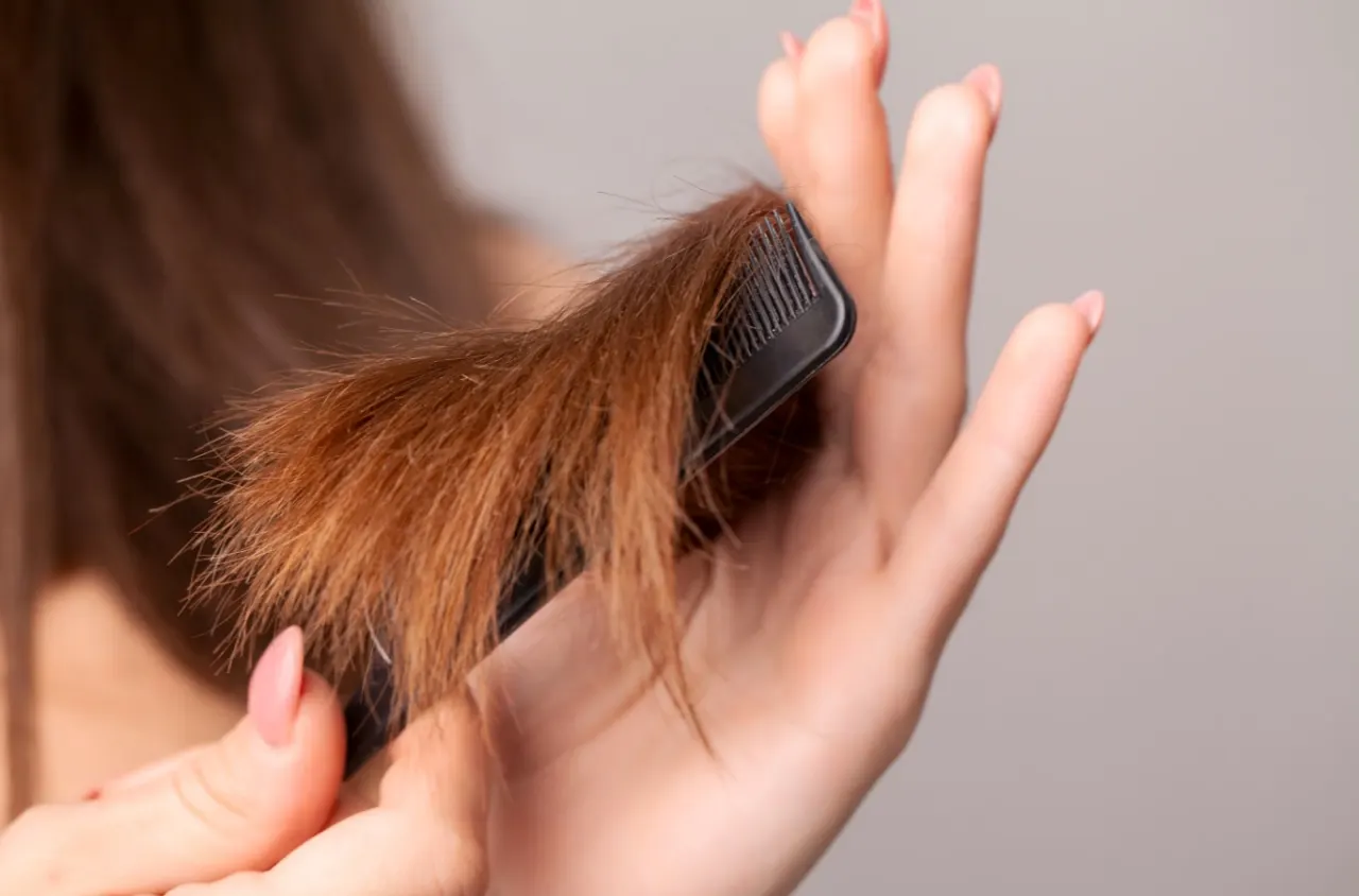 Makanan Yang Baik Untuk Mengatasi Rambut Kering Dari Dalam