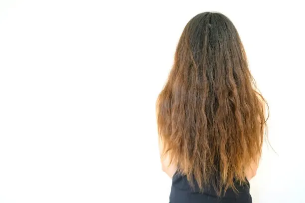rambut kering pada wanita