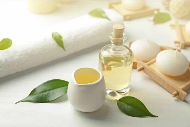 Mulai Jarang Rontok: Manfaat Tea Tree Oil untuk Kulit Kepala Berminyak