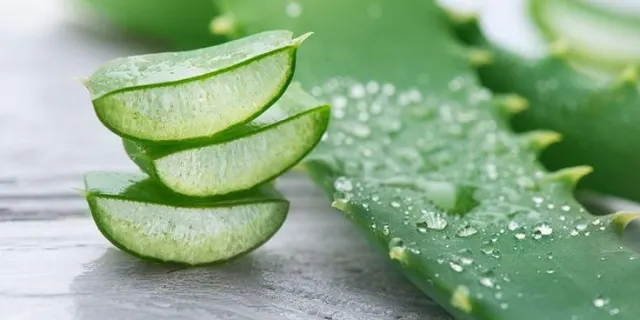Merawat Rambut dengan Bahan Alami yang Mudah Didapat
