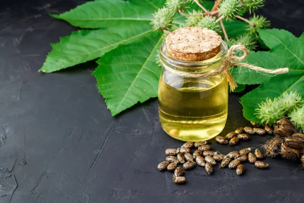 Minyak Jarak (Castor Oil) untuk Isi & Tebalkan Rambut: Solusi Alami yang Lagi Viral