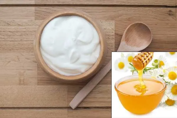 Masker Rambut Alami dari Dapur: 5 Bahan Rumahan untuk Atasi Rambut Kering dan Bercabang